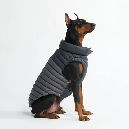 PuffShield Winter Jackets