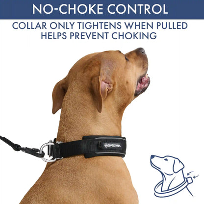 Martingale Collar and Multipurpose Leash Sets