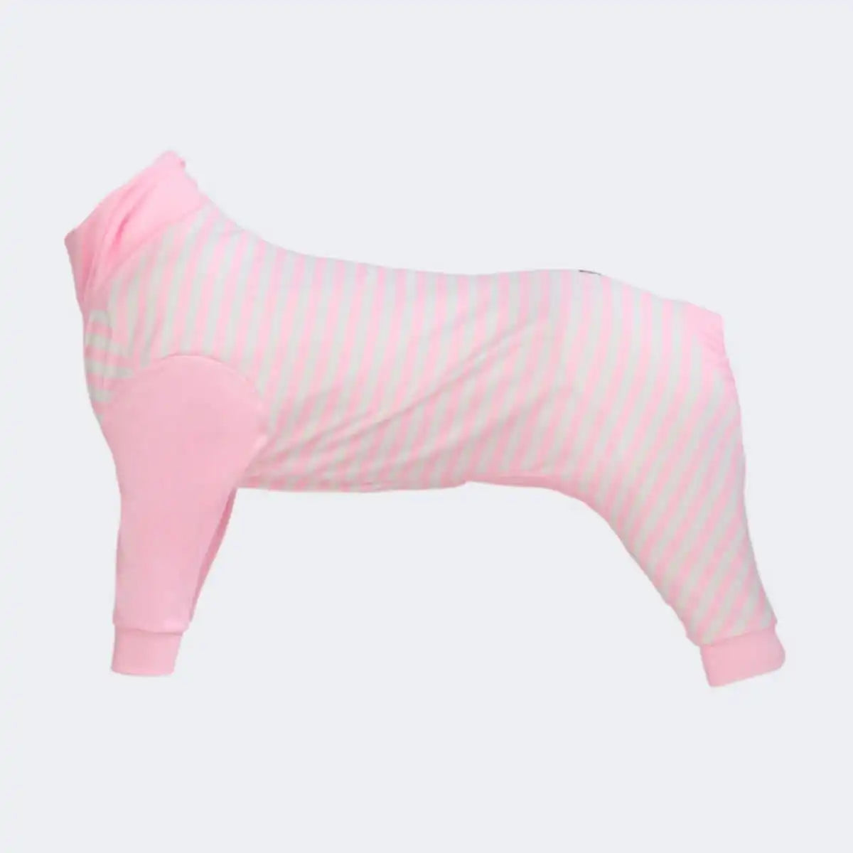 Dog Pajama Prints