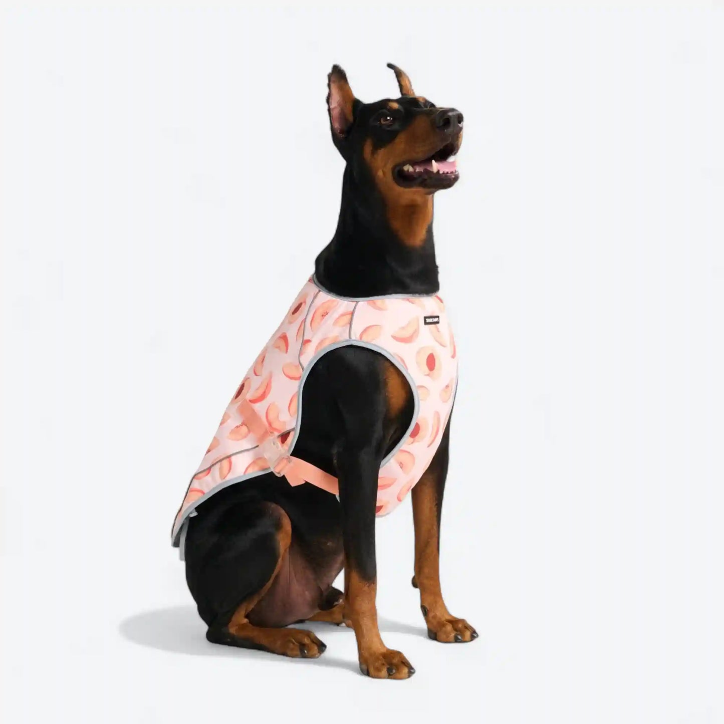 Chilltech™ Dog Cooling Vests