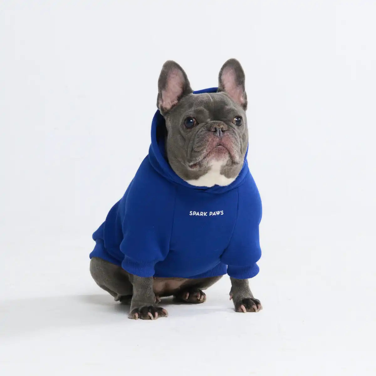 Essential Dog Hoodie - Midnight Blue