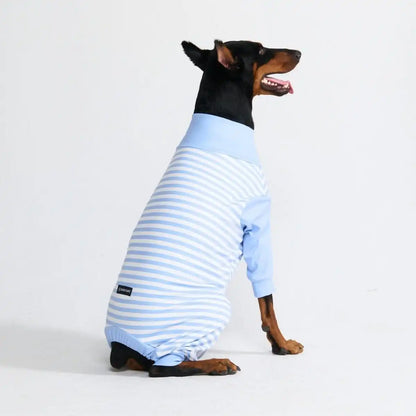 Dog Pajama Prints