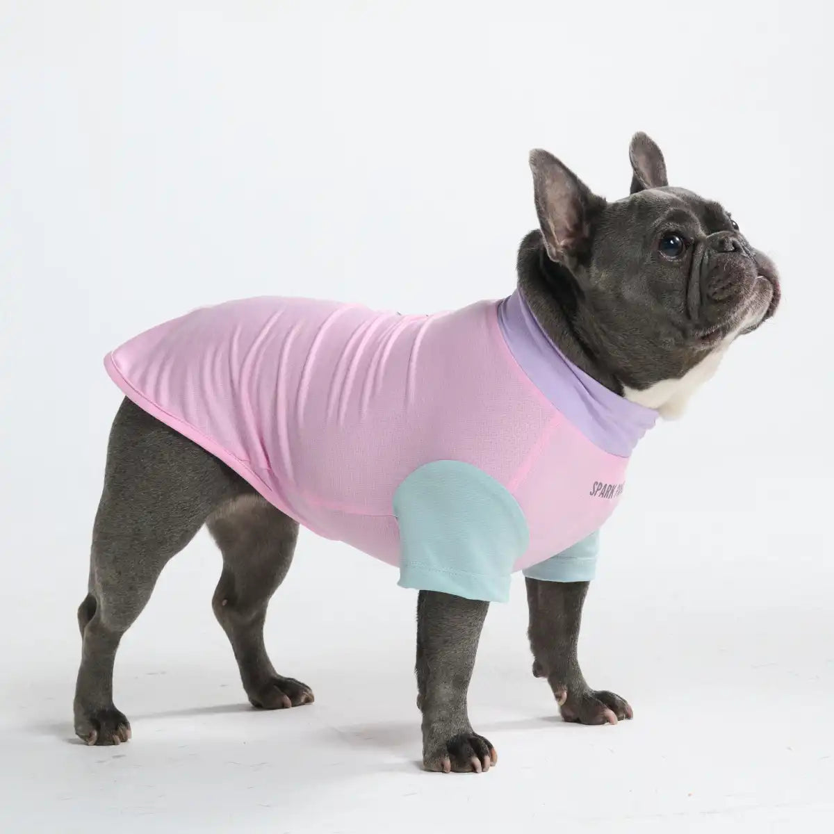 Sunblock Dog T-Shirt - Color Block