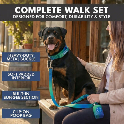 Comfort Control Collar and Multipurpose Leash Sets