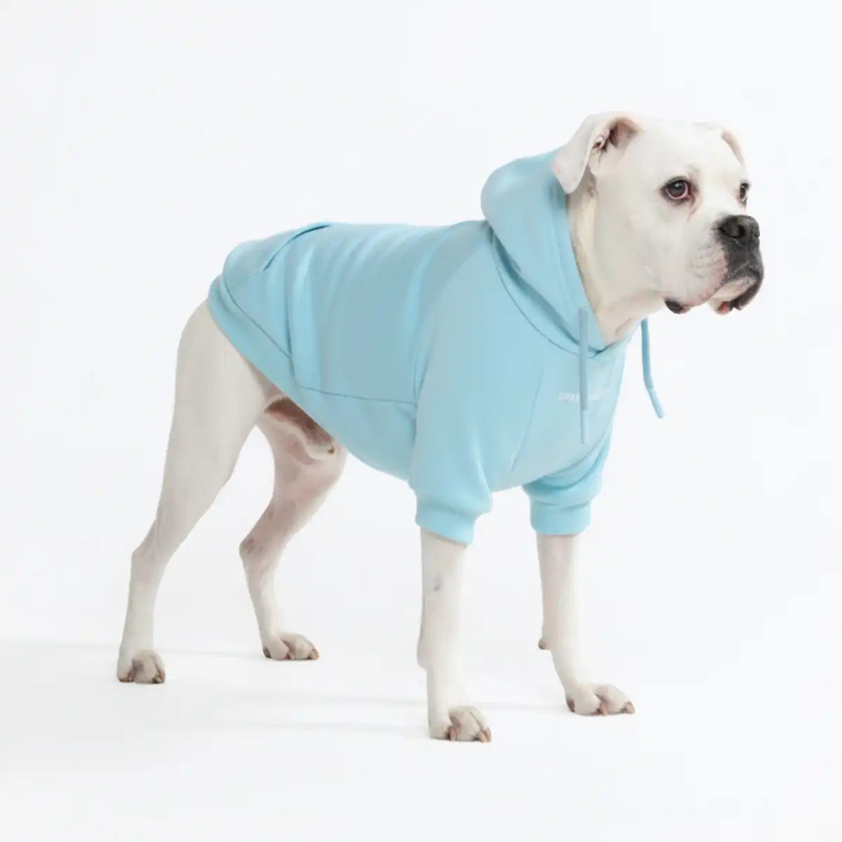 Essential Dog Hoodies