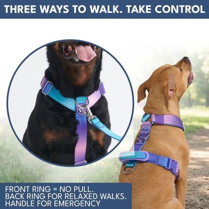 Comfort Control No-Pull Dog Harness and Multipurpose Leash Sets