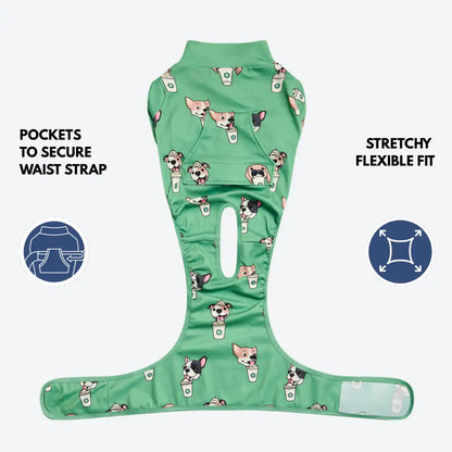 Dog Surgical Suit