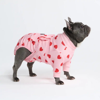 Dog Surgical Suit