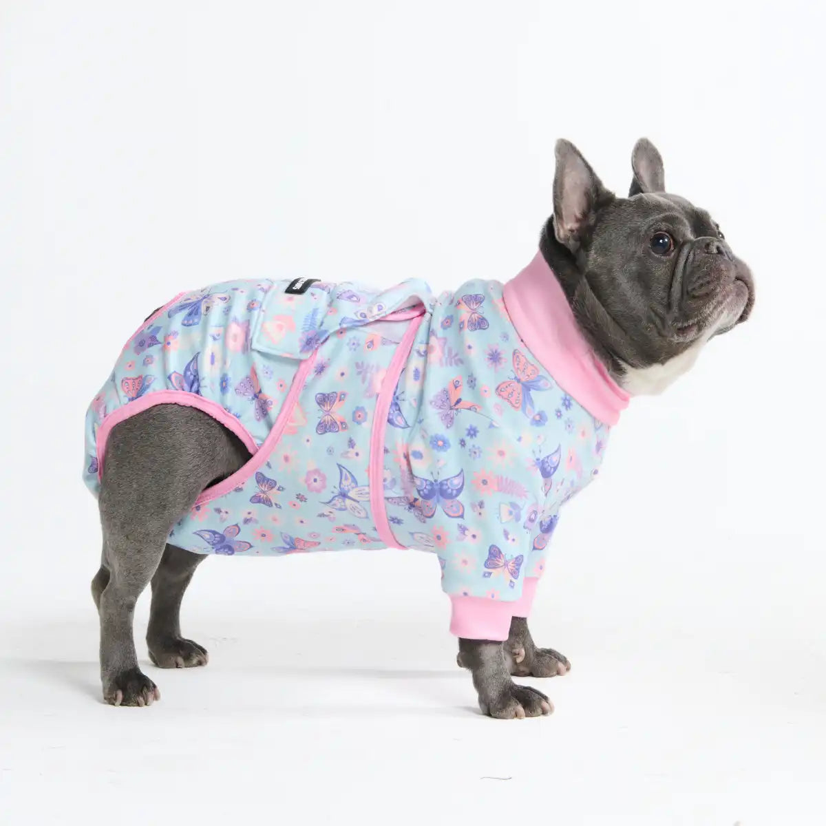 Dog Surgical Suit