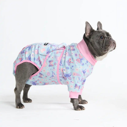 Dog Surgical Suit