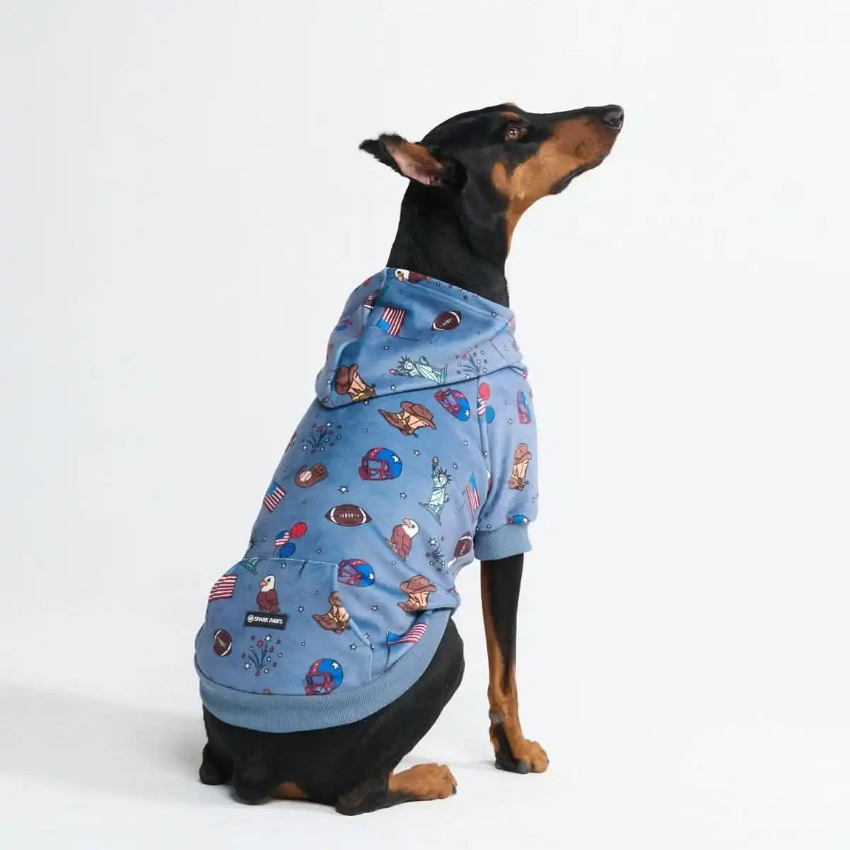 Around the World Dog Hoodies