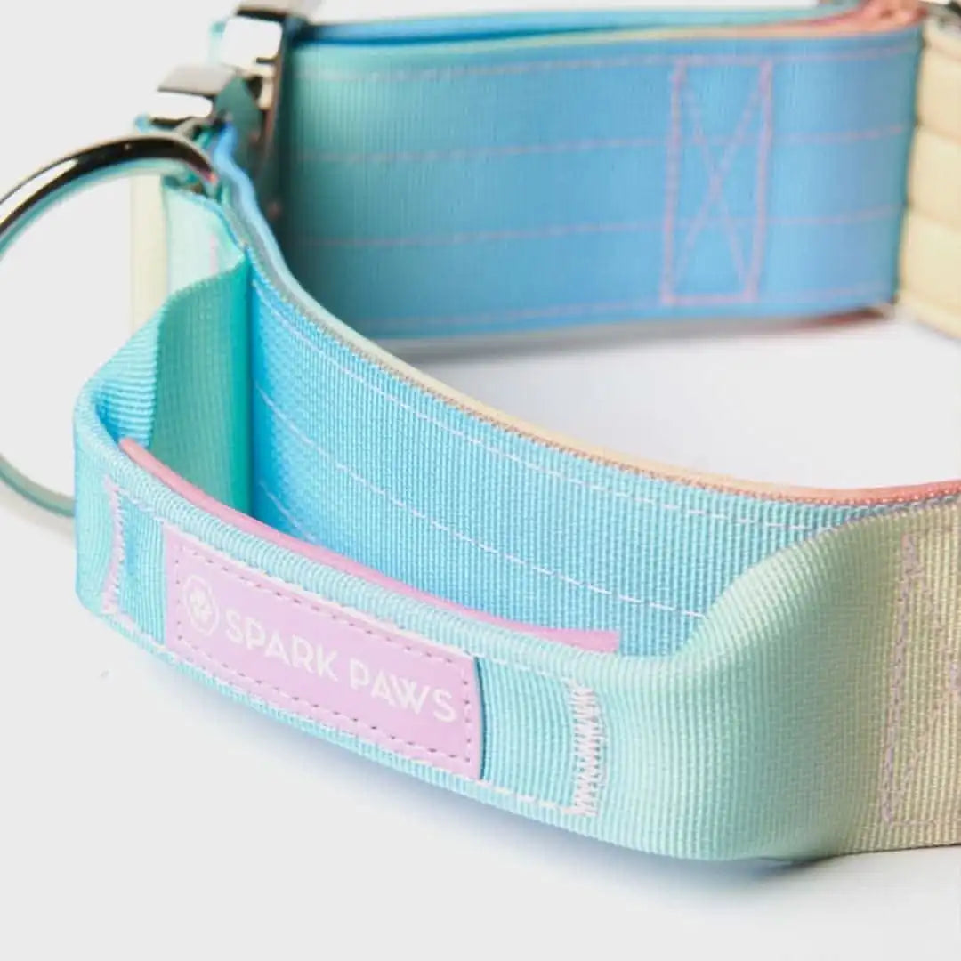 Comfort Control Dog Collars