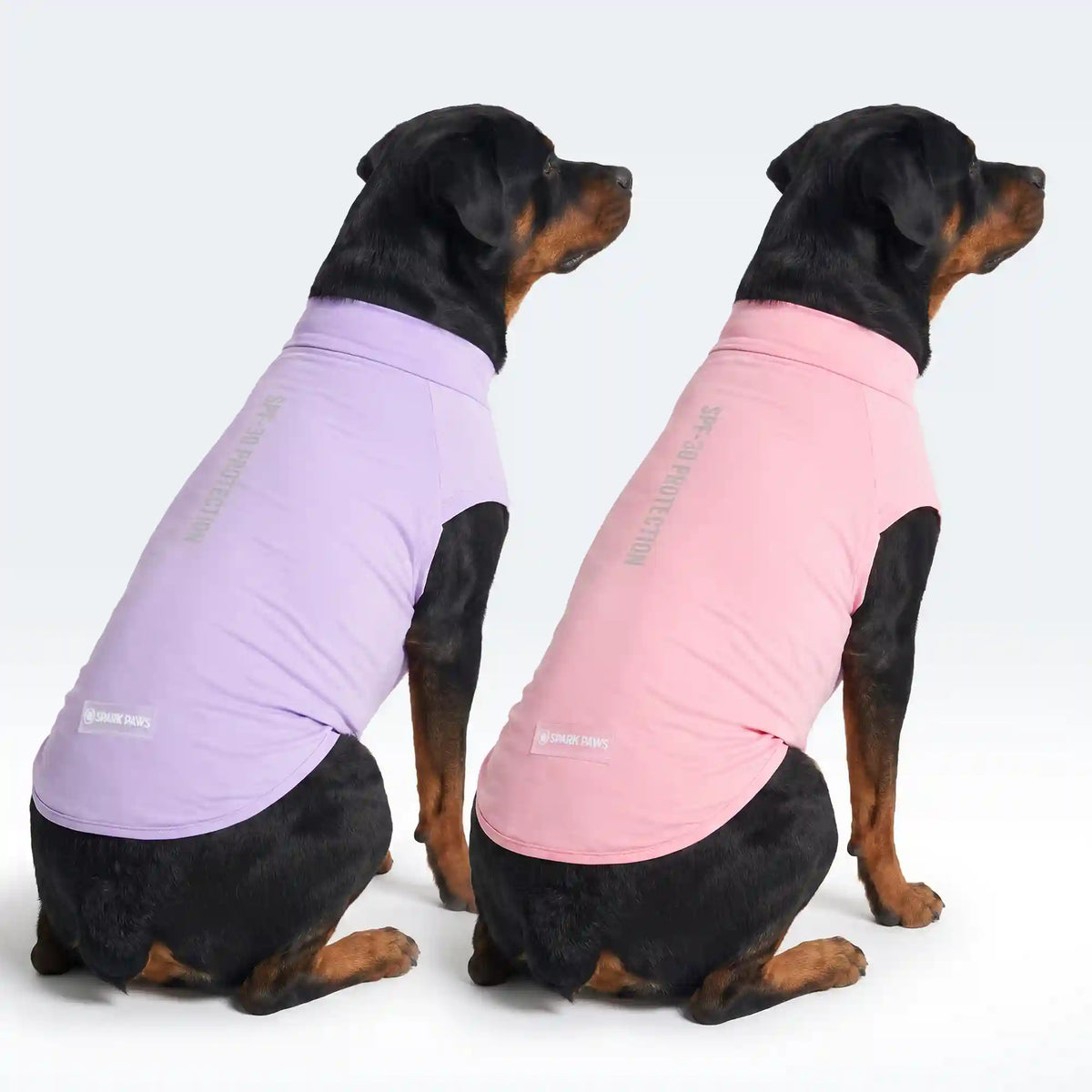 Sunblock Dog T-Shirt 2-pack