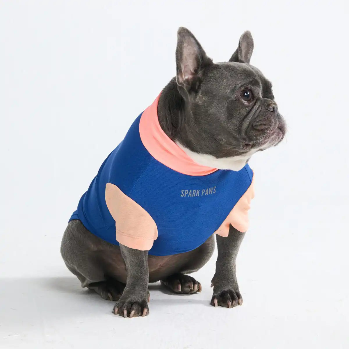 Sunblock Dog T-Shirt - Color Block