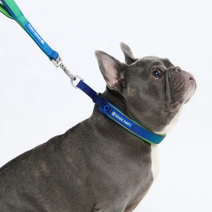 Cushioned Martingale Collars