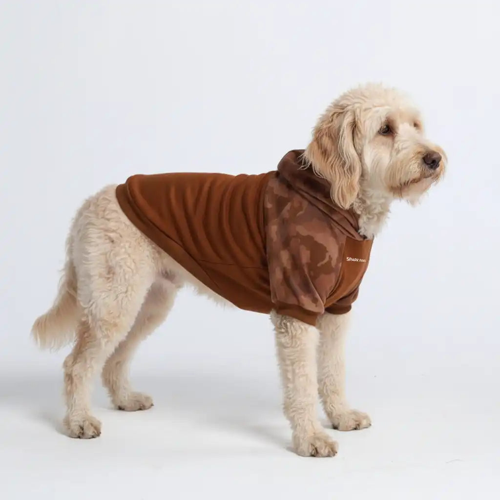 Desert Camo Dog Hoodie
