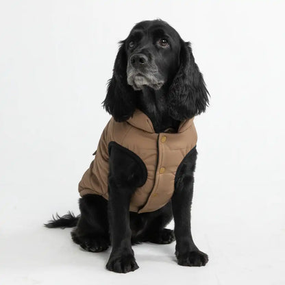 WarmShield Water-Resistant Jacket - Tan