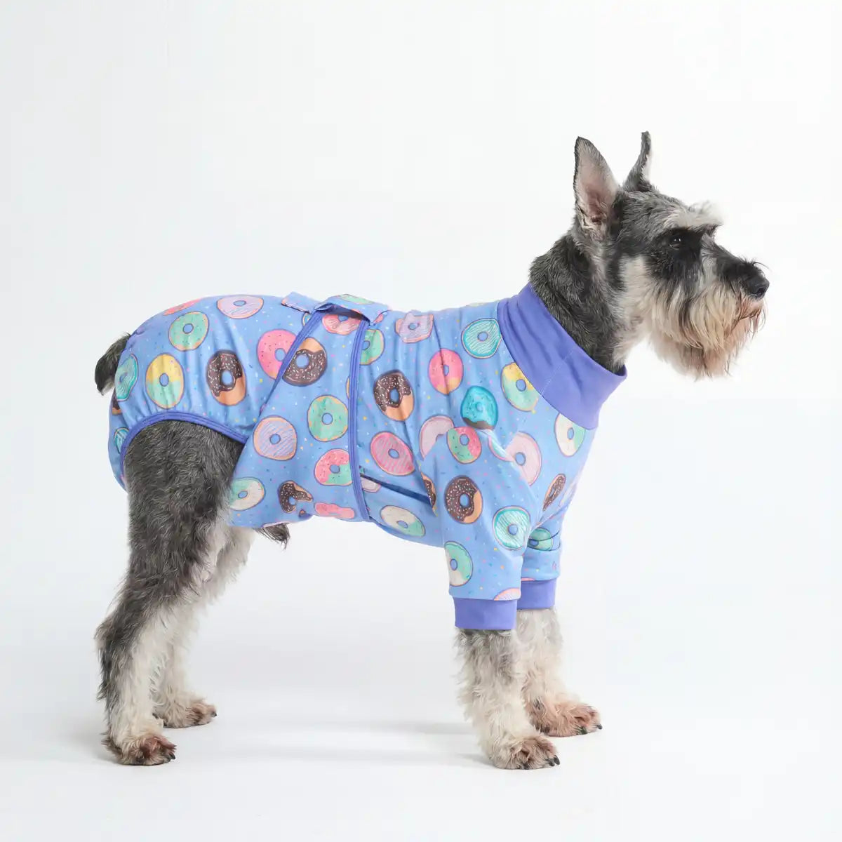 Dog Surgical Suit