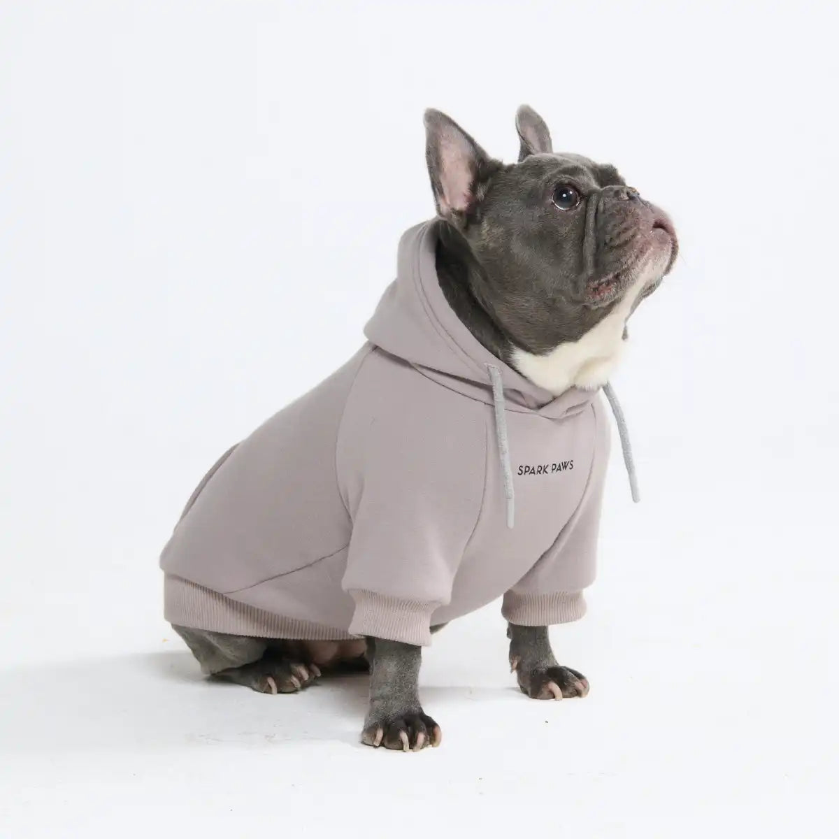 Essential Dog Hoodies