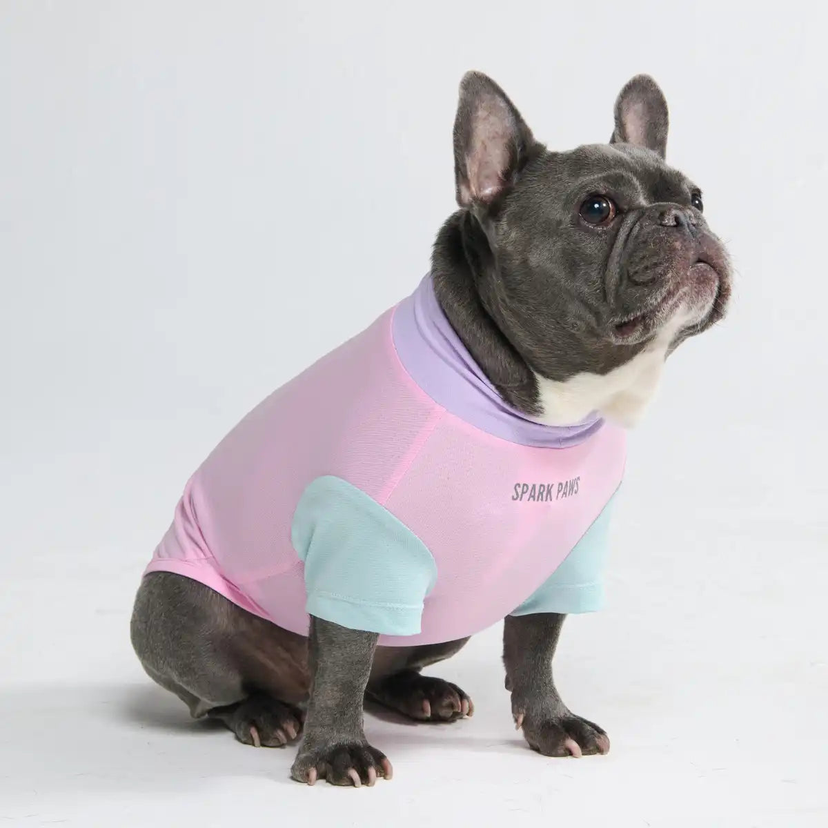 Sunblock Dog T-Shirt - Gelato