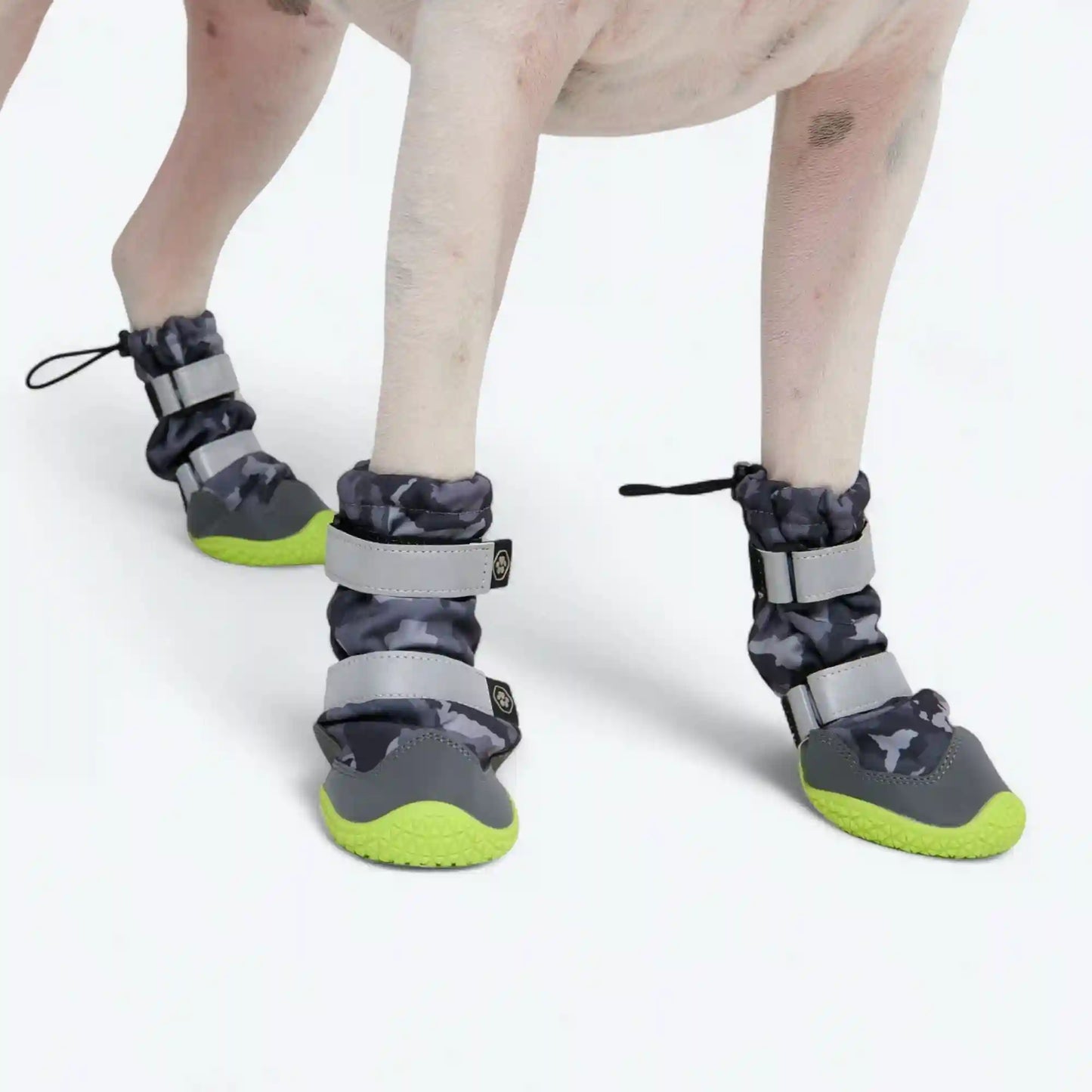 Dog Rainboots, Waterproof Dog Shoes