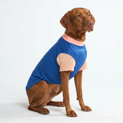 Sunblock Dog T-Shirt - Color Block