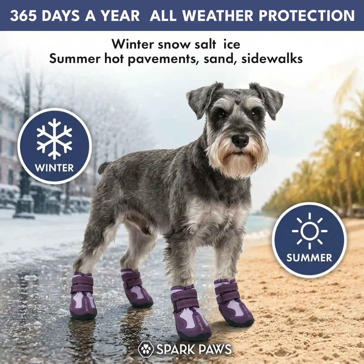 365 All-Season Dog Shoe 4PC Set