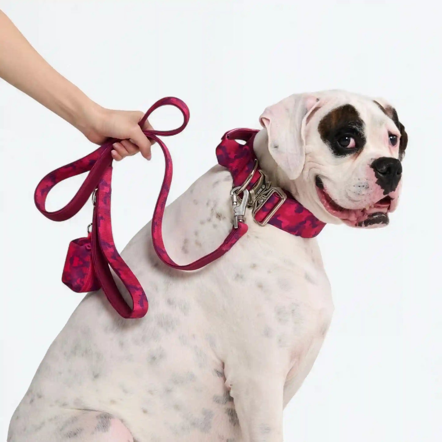 Leash and Poop Bag Holder Set
