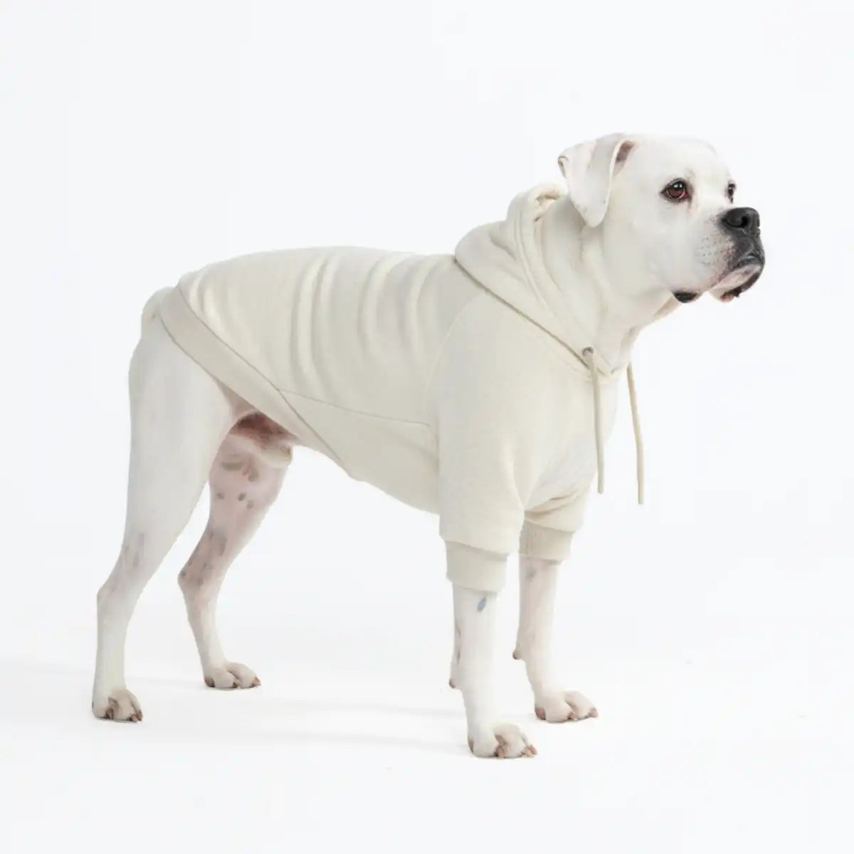 Essential Dog Hoodie - Oatmeal Heather