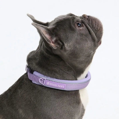 Cushioned Martingale Collar - Lilac