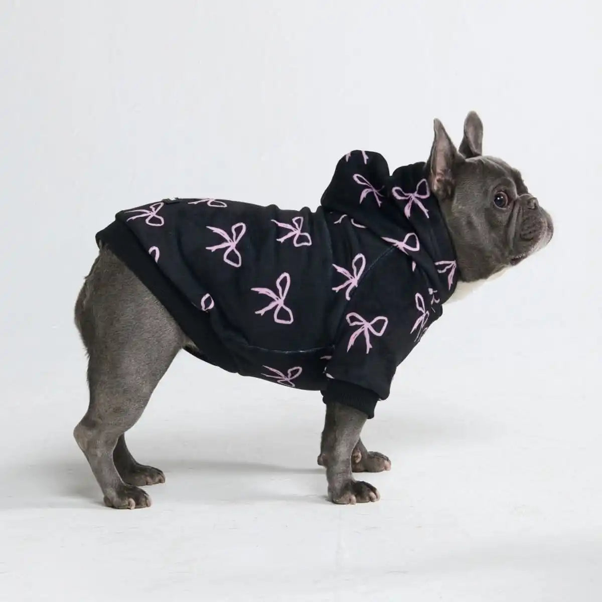 Coquette Dog Hoodie