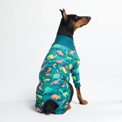 Dog Surgical Suit