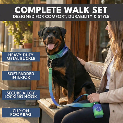 Comfort Control Dog Collar Sets