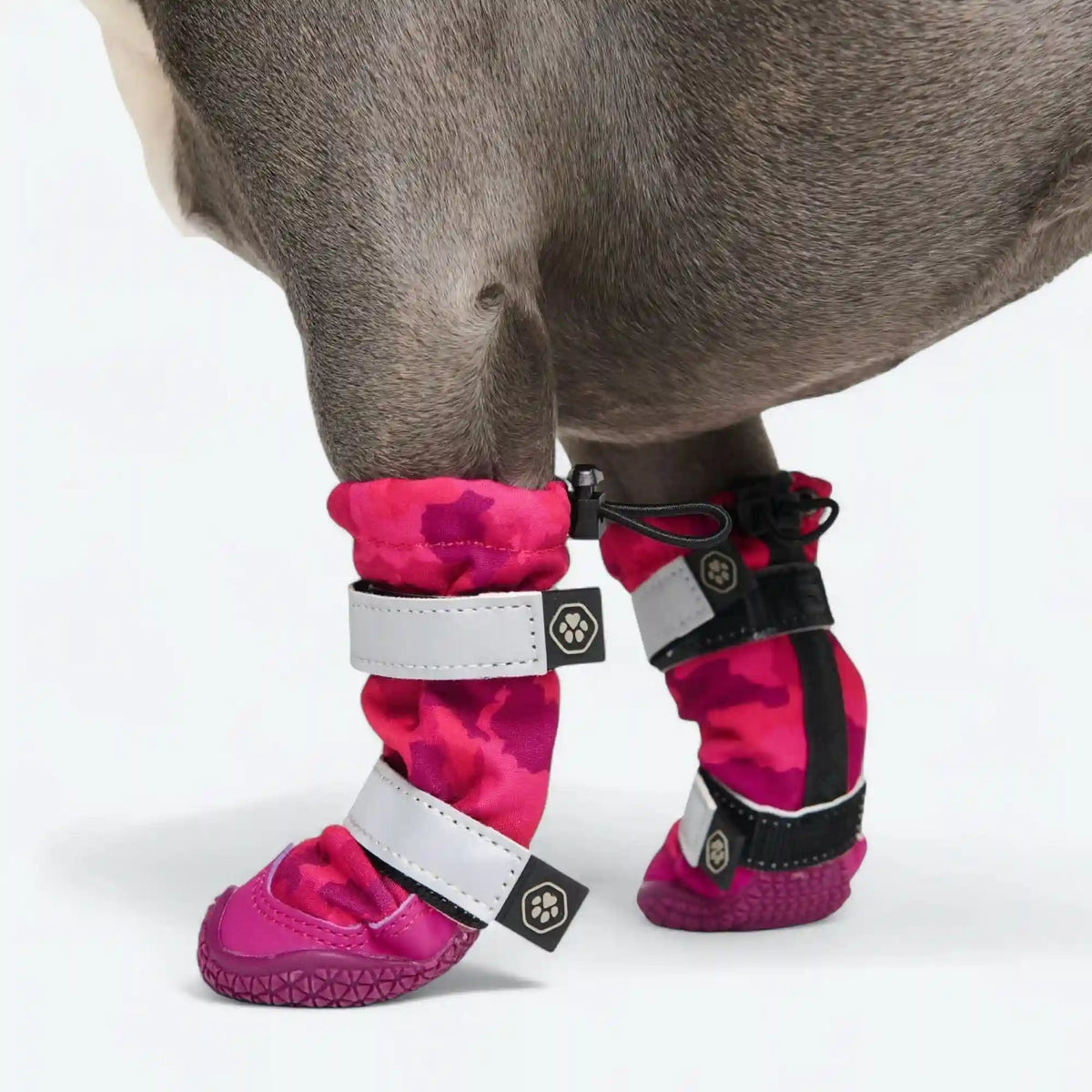 Dog Rainboots, Waterproof Dog Shoes