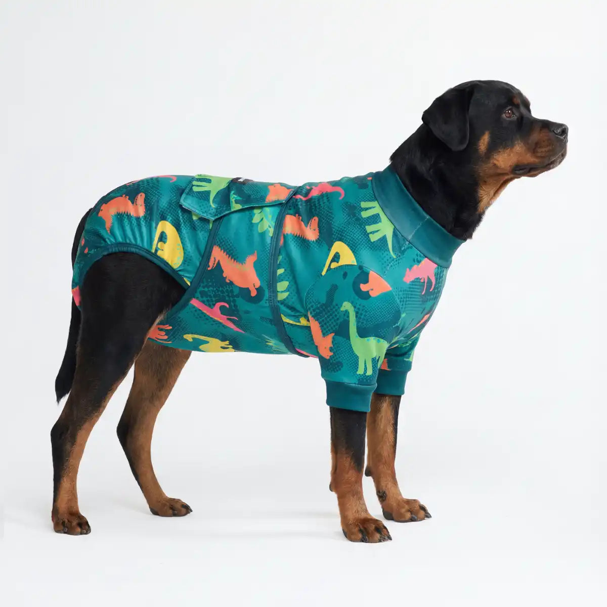 Dog Surgical Suit - Dinosaurs