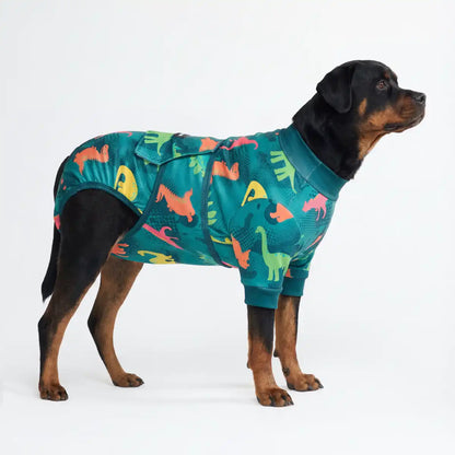 Dog Surgical Suit - Dinosaurs