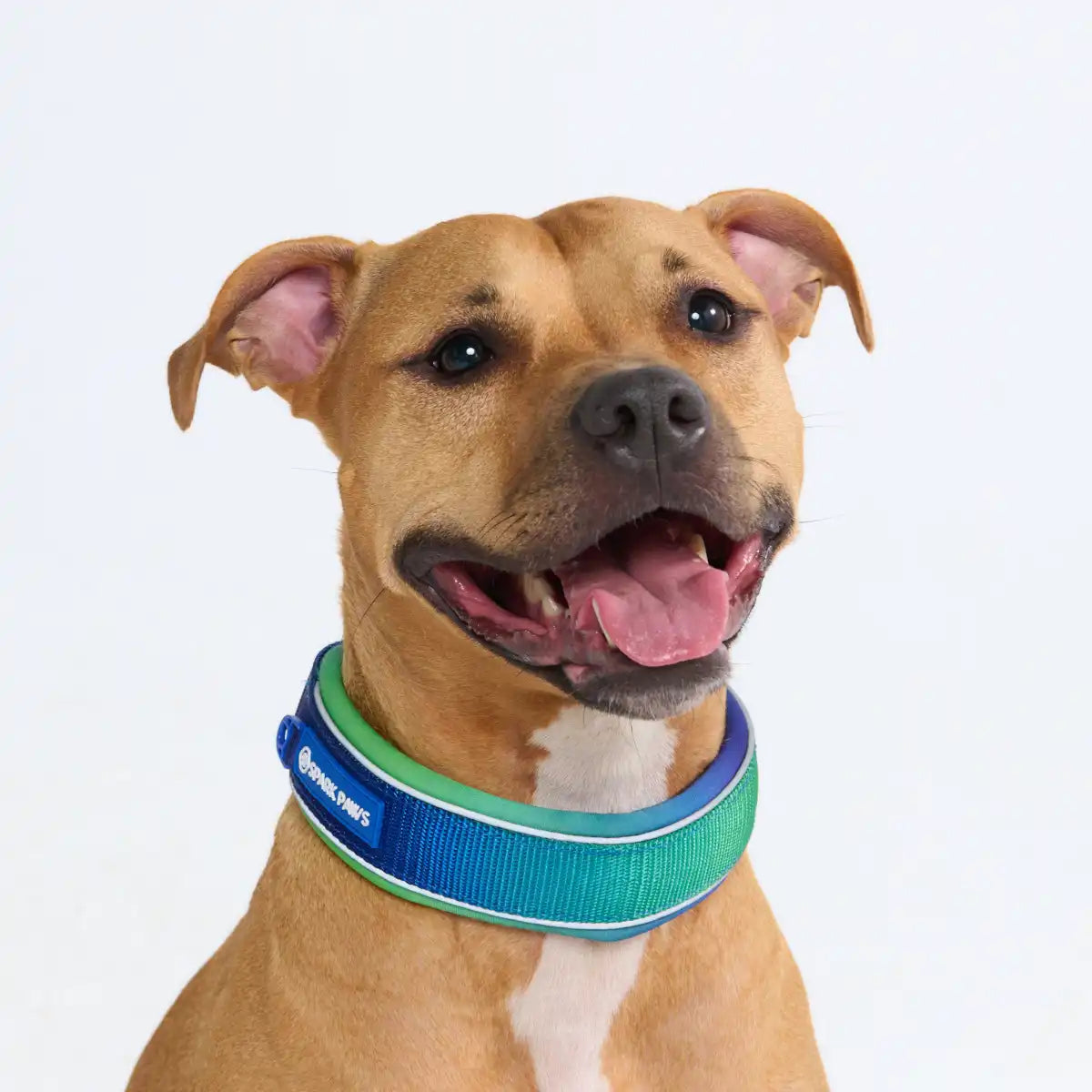 Cushioned Martingale Collars