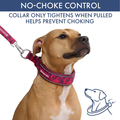 Martingale Collar and Multipurpose Leash Sets