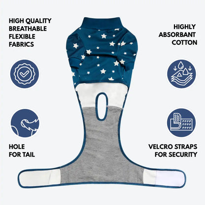 Dog Surgical Suit