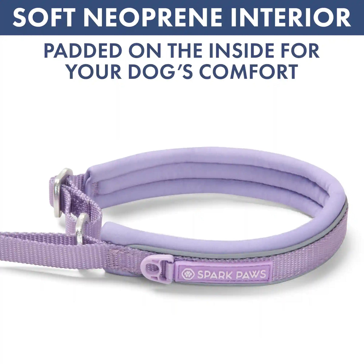 Martingale Collar and Multipurpose Leash Set - Lilac