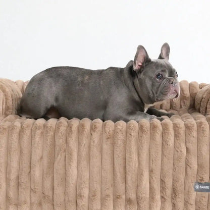 Luxury Couch Cover Dog Bed - Brown