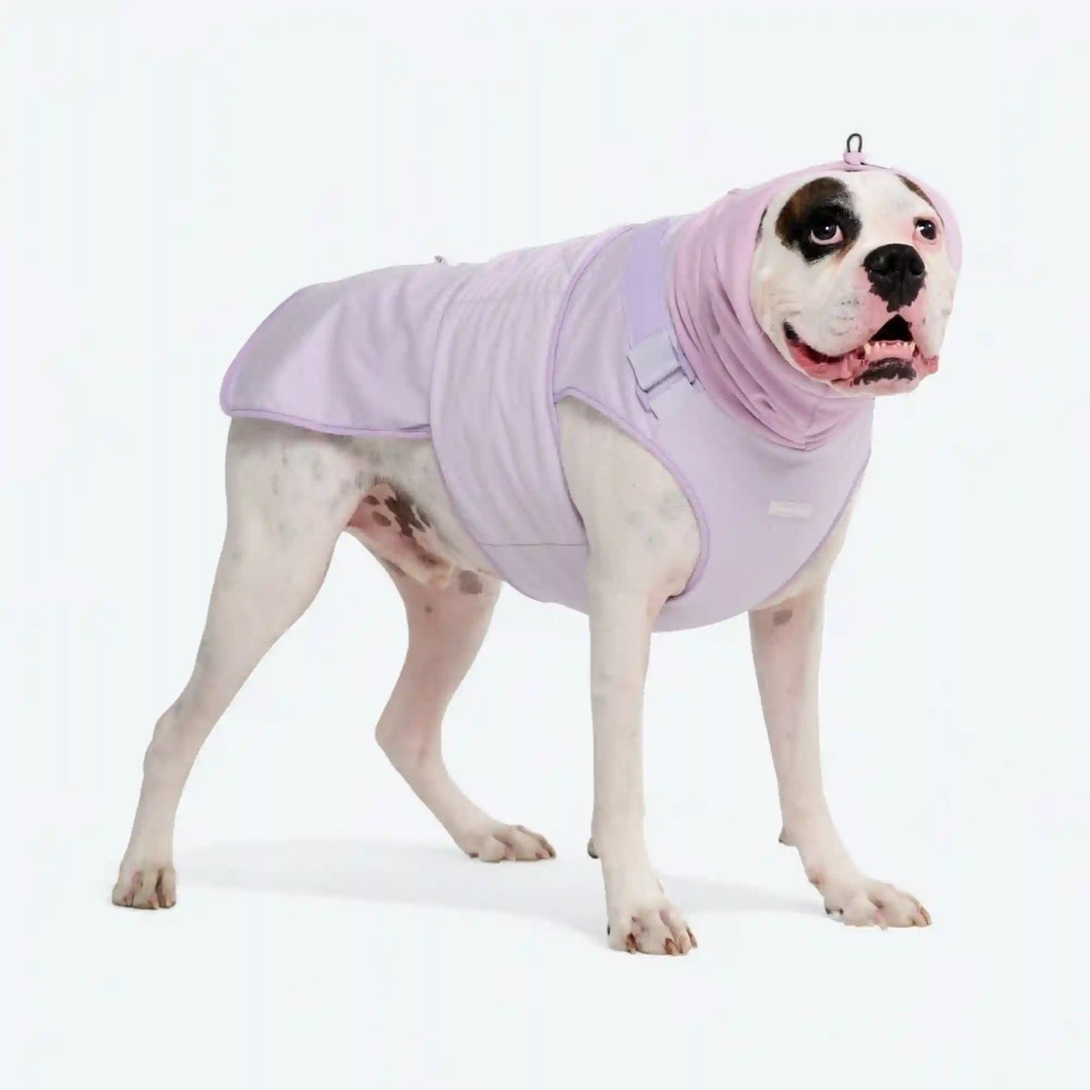 Anxiety Calming Suit - Purple