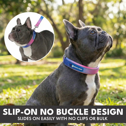 Martingale Collar Set - Snow Cone