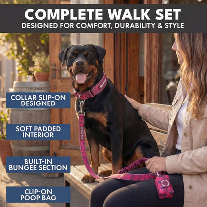 Martingale Collar and Multipurpose Leash Set - Fuchsia Camo