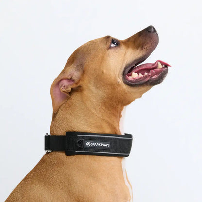 Cushioned Martingale Collar - Black