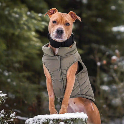 WarmShield Water-Resistant Jacket - Olive