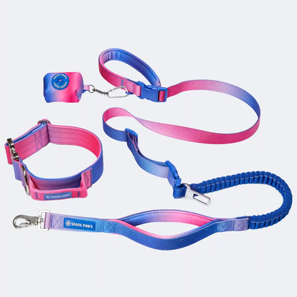 Comfort Control Collar and Multipurpose Leash Sets