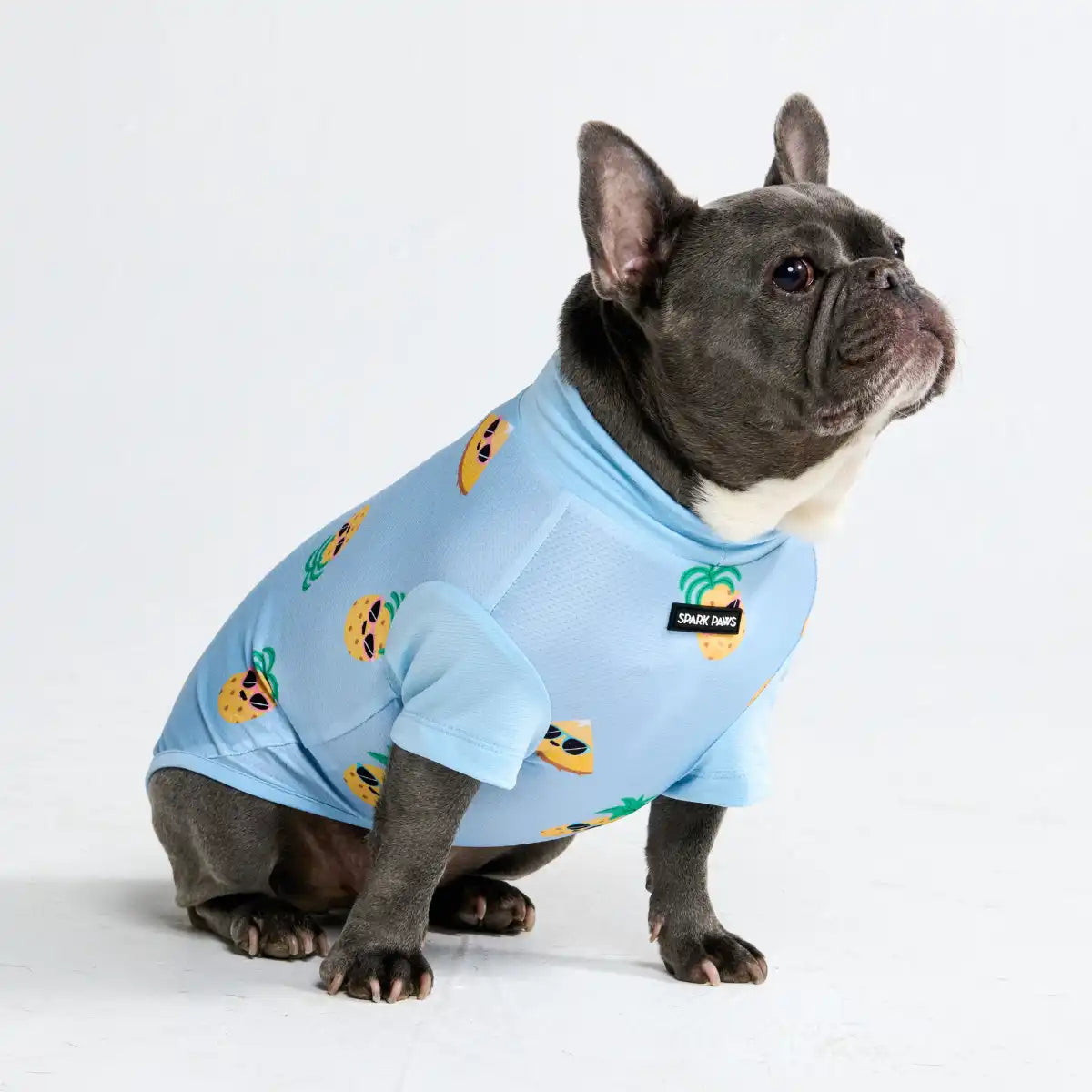 Sunblock Dog T-Shirt - Pineapple