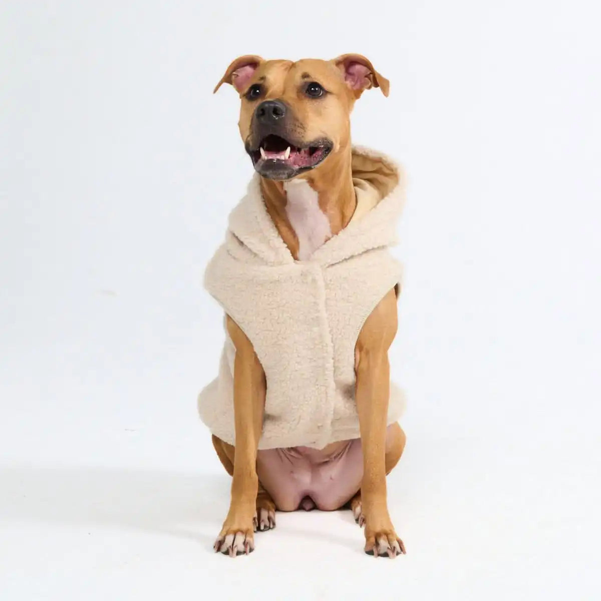 Teddy Sherpa Dog Jacket - Beige