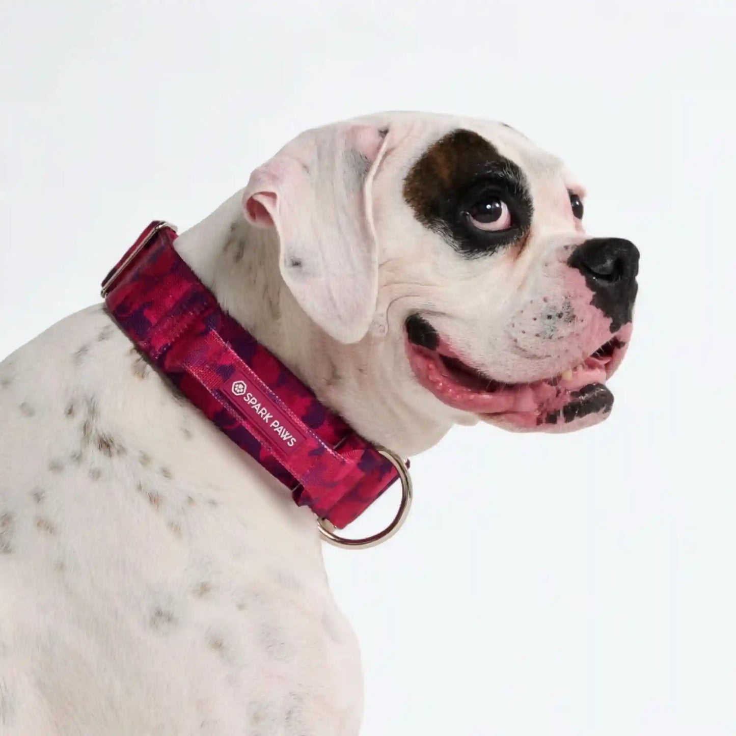 Comfort Control Dog Collars